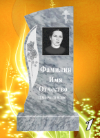 Вариант №1 Цена от 32500 до 58900 руб.