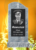 Вариант №29 Цена от 33600 до 60600 руб.