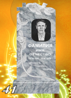 Вариант №41 Цена от 31700 до 58100 руб.