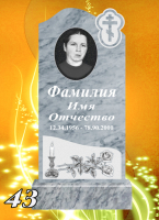 Вариант №43 Цена от 32800 до 59200 руб.
