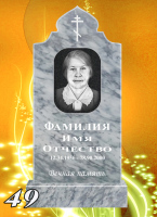 Вариант №49 Цена от 31700 до 58100 руб.