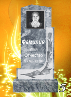 Вариант №5 Цена от 32600 до 59000 руб.