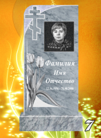 Вариант №7 Цена от 32300 до 58700 руб.