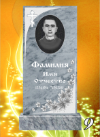 Вариант №9 Цена от 31300 до 57700 руб.