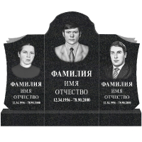 Вариант №100 Цена 171600 руб.