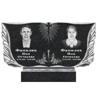 Вариант №119 Цена от 45100 руб.