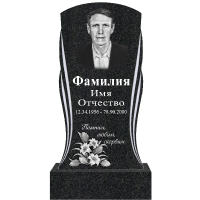 Вариант №129 Цена от 42500 руб.