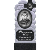 Вариант №137 Цена от 61400 руб.