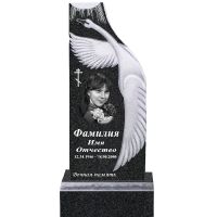 Вариант №13 Цена от 59700 руб.