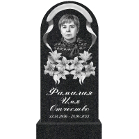 Вариант №143 Цена от 43600 руб.