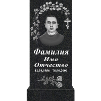 Вариант №154 Цена от 41800 руб.