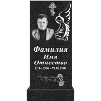 Вариант №155 Цена от 41800 руб.