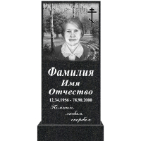 Вариант №156 Цена от 42500 руб.