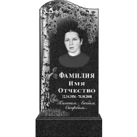 Вариант №160 Цена от 44300 руб.