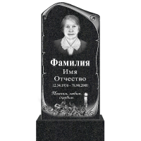 Вариант №161 Цена от 43700 руб.