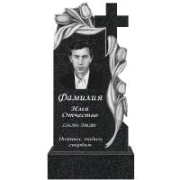 Вариант №166 Цена от 59700 руб.