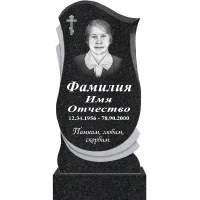 Вариант №169 Цена от 43200 руб.