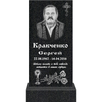 Вариант №31 Цена от 40700 руб.