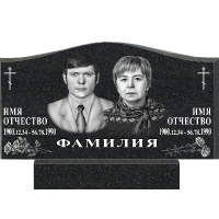 Вариант №33 Цена от 47300 руб.