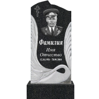 Вариант №59 Цена от 42400 руб.