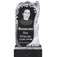 Вариант №69 Цена от 42200 руб.
