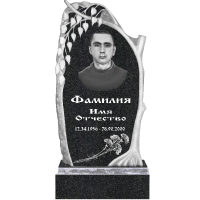 Вариант №75 Цена от 42200 руб.
