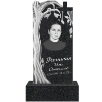 Вариант №77 Цена от 42200 руб.