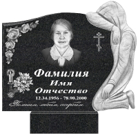 Вариант №81 Цена 116700 руб.