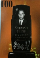 Вариант №100 Цена 30600 руб.
